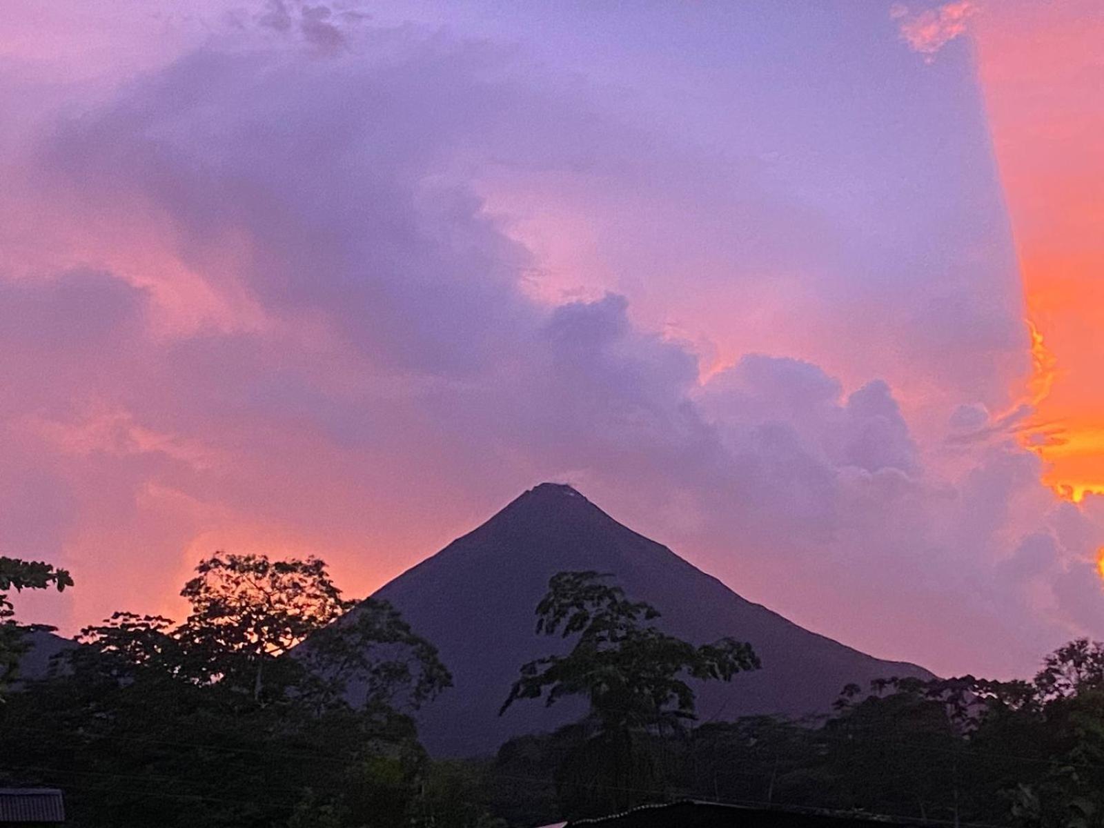 Natura Bungalows La Fortuna 外观 照片